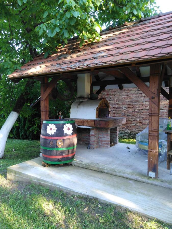 Podravske Sesvete Umjetnicka Etno Kuca Luka 아파트 외부 사진